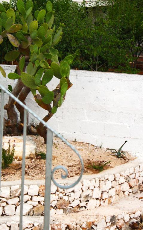 B&B Margherita Ostuni Eksteriør bilde